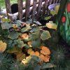 Ogród jesienią 1